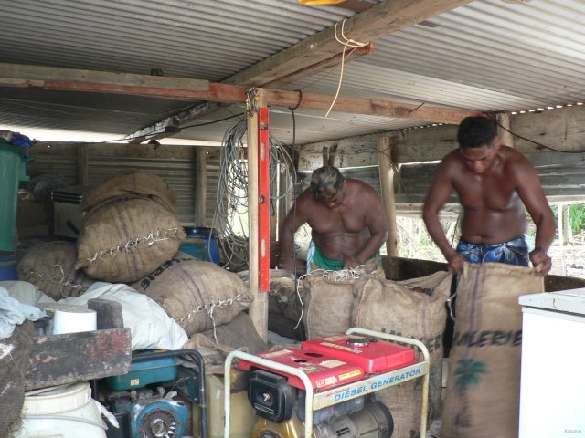 34- Stockage des sacs de coprah 